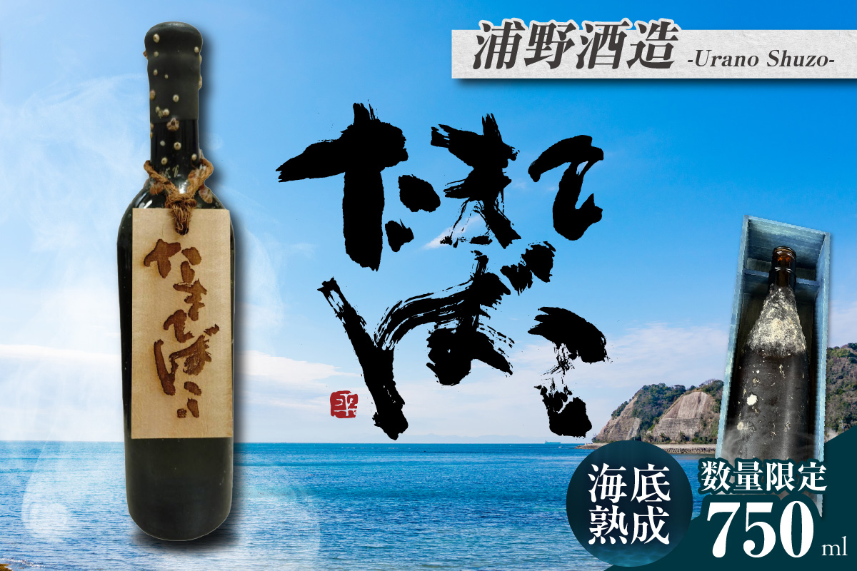 [テレビで紹介!]伊勢湾竜宮熟成酒「たまてばこ」[浦野酒造]│天然熟成酒 日本酒 玄米使用 お酒 アルコール 贅沢 純米酒 熟成酒 海底熟成 地酒井上屋 愛知県 常滑市