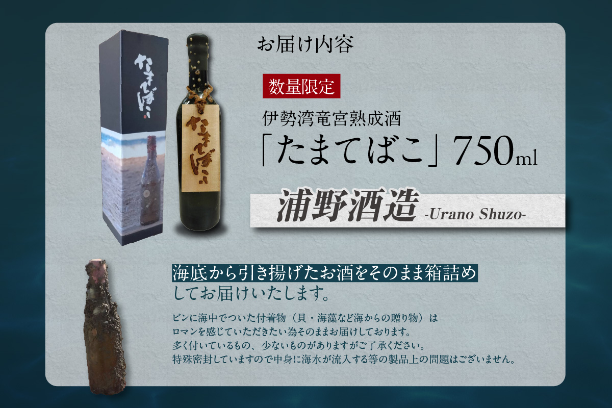 【テレビで紹介！】伊勢湾竜宮熟成酒「たまてばこ」【浦野酒造】│天然熟成酒 日本酒 玄米使用 お酒 アルコール 贅沢 純米酒 熟成酒 海底熟成 地酒井上屋 愛知県 常滑市