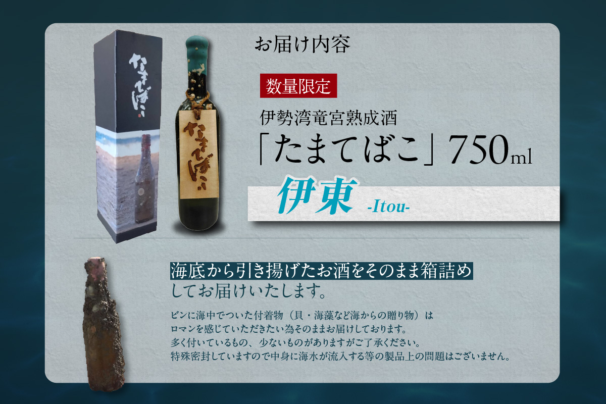 【テレビで紹介！】伊勢湾竜宮熟成酒「たまてばこ」【伊東】│天然熟成酒 日本酒 玄米使用 お酒 アルコール 贅沢 純米酒 熟成酒 海底熟成 地酒井上屋 愛知県 常滑市