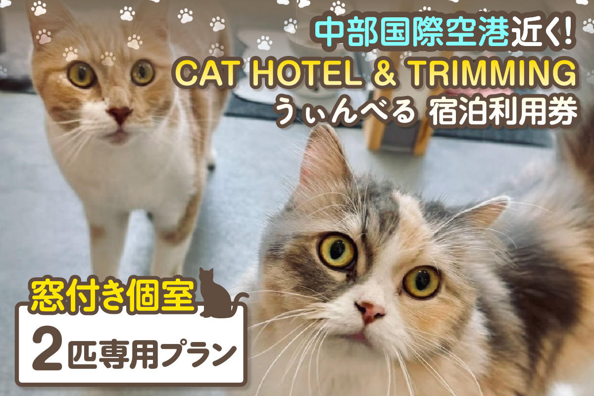 CAT HOTEL & TRIMMING　うぃんべる　宿泊利用券　2匹専用プラン│ペットホテル ペットと泊まれる 宿泊券 猫 キャット 猫ホテル 見守りサービス 猫専用ルーム 窓付き個室 見守りカメラ 1泊2日ノンゲージ トリミング 家族旅行 愛知県 常滑市