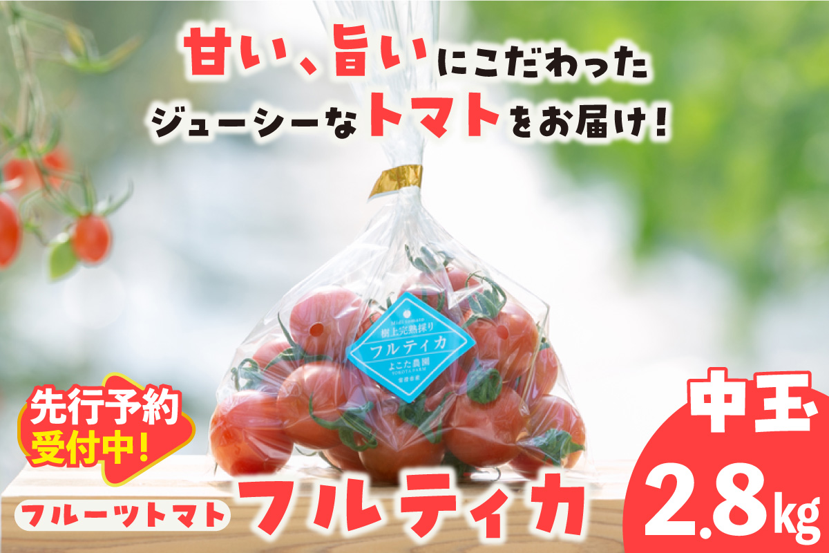【先行予約】【5月中旬以降発送】フルーツトマト　中玉フルティカ2.8kg│よこた農園 フルティカ 野菜 トマト 新鮮野菜 太陽の恵み 中玉トマト トマト料理 愛知県産 フルーツとまと 甘いトマト お取り寄せ グルメ 常滑市