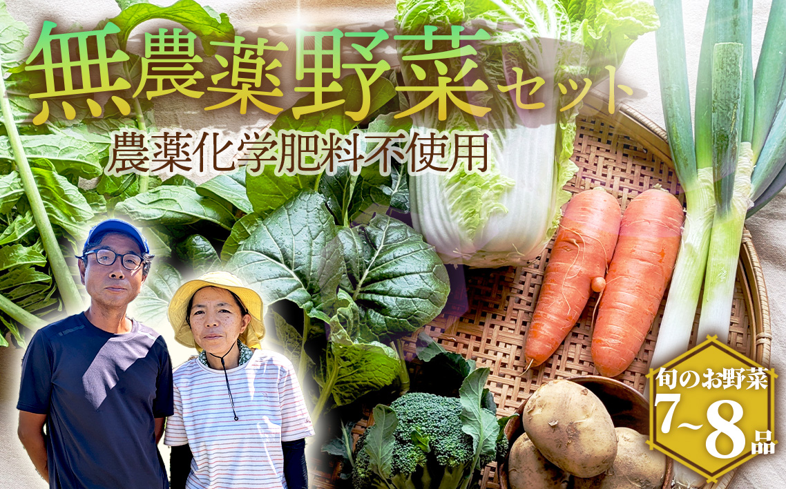 栽培期間中農薬化学肥料不使用　旬のココニコ無農薬野菜セット 7〜8品 ／ 野菜 やさい 新鮮 旬 採れたて おいしい 産地直送 産直 露地栽培 こだわり 定番野菜 伝統野菜 めずらしい野菜 フレッシュ 愛知県 No.272