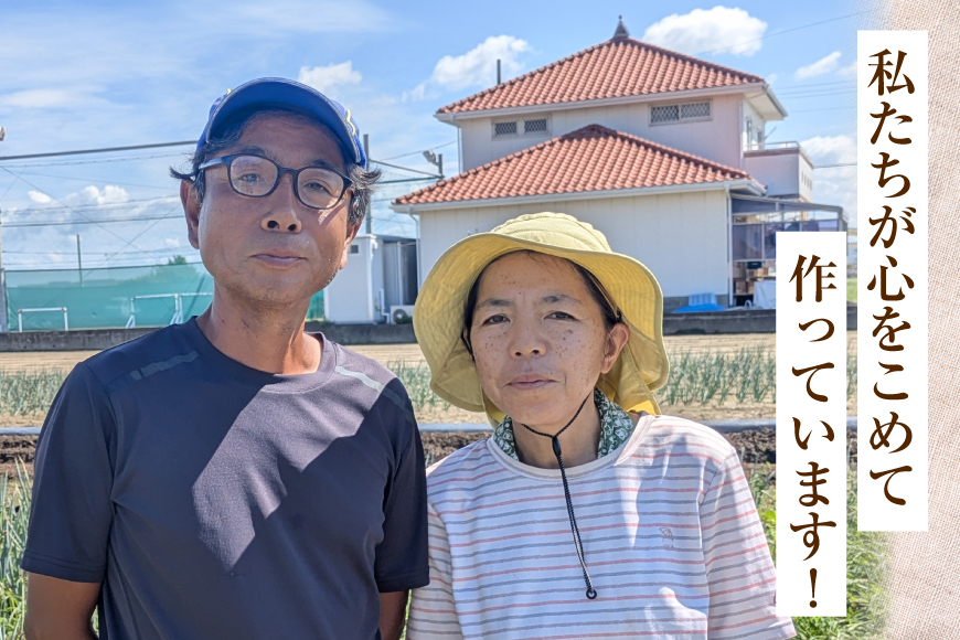 野菜 旬 ココニコ おまかせ 野菜セット 6〜8品 [ココニコヒロバ 愛知県 江南市 ko23btu710000] セット 詰め合わせ 季節野菜 国産 季節の野菜 野菜詰め合わせ 葉野菜 根菜