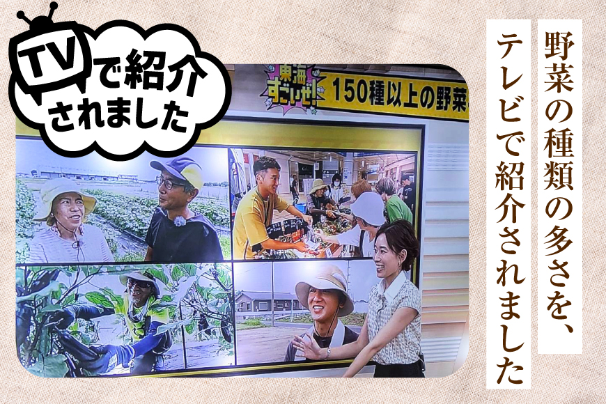 野菜 旬 ココニコ おまかせ 野菜セット 6〜8品 [ココニコヒロバ 愛知県 江南市 ko23btu710000] セット 詰め合わせ 季節野菜 国産 季節の野菜 野菜詰め合わせ 葉野菜 根菜