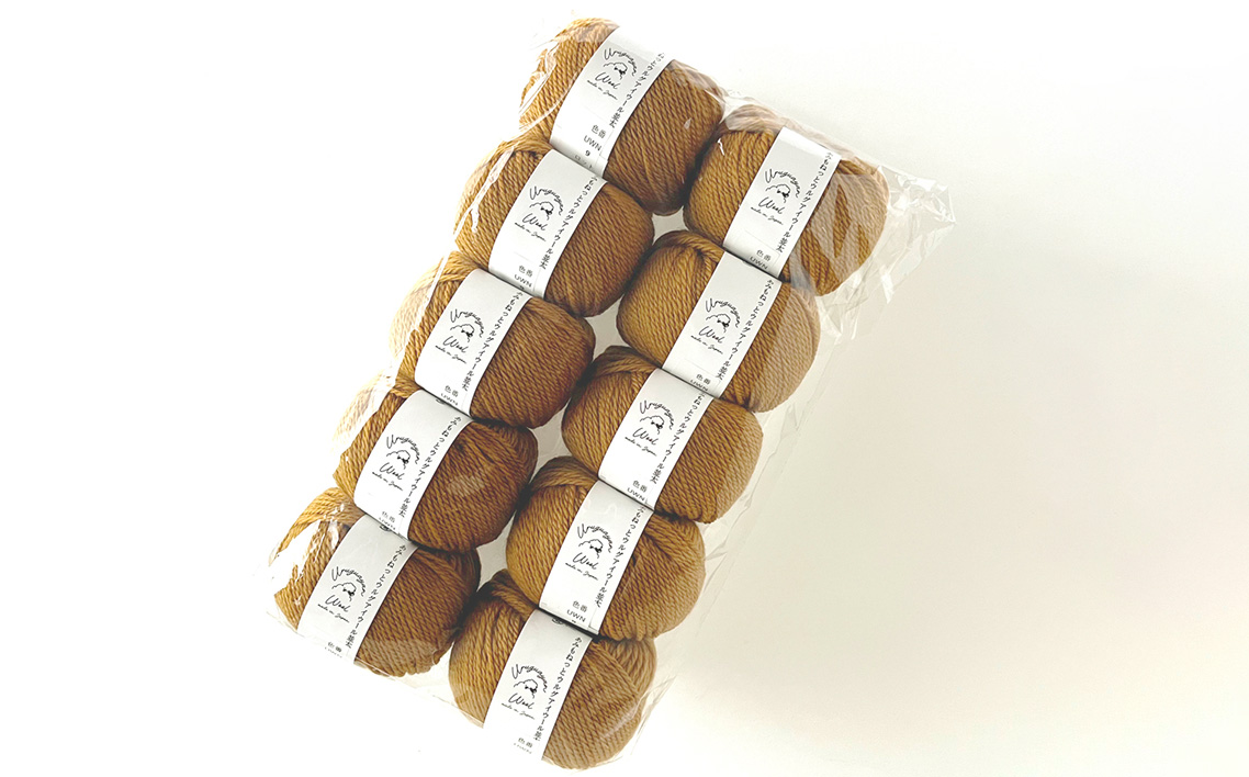 毛糸 ウルグアイウール並太 9番色 10玉セット ／ ウール100％ 並太毛糸 手編み 編み物 ハンドメイド 冬小物 マフラー 帽子 セーター ブランケット 編みやすい ふっくら 愛知県 No.357