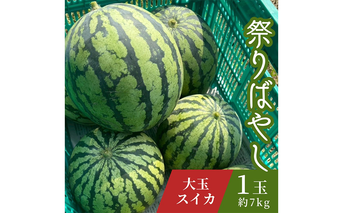 すいか　祭りばやし　1玉（約7kg） ／ スイカ 祭りばやし 大玉 夏スイカ 夏 フルーツ 旬 果物 甘い シャリ感 高糖度 ギフト 贈答 季節限定 お中元 みずみずしい 食感 愛知県 No.406