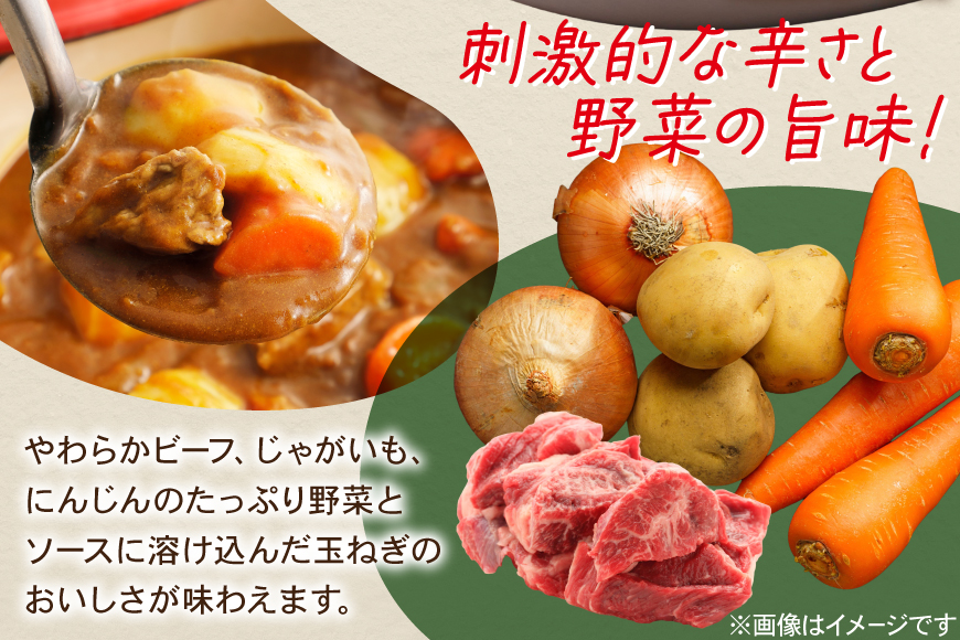 カレー レトルト ハウス レトルトジャワカレー 中辛 200g 2個 [翔栄通商 愛知県 江南市 ko23btu570109] レトルト食品 レンジ対応商品 レトルトカレー カレー ハウス食品 レンジ レンチン お湯 湯煎 湯せん 時短 簡単 簡単調理 防災 防災食 長期保存 非常食