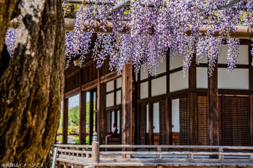 菓子 ういろ 江南ういろ 5本 [武蔵屋 愛知県 江南市 ko23btu400000] お菓子 手作り 美味しい 詰め合わせ プレゼント 贈答 ギフト