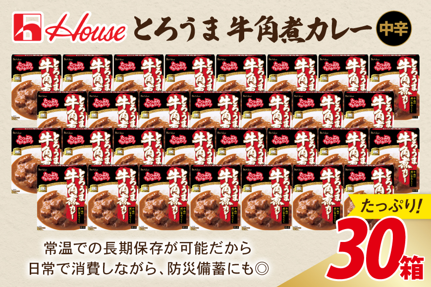 カレー レトルト ハウス とろうま牛角煮カレー 中辛 30個 [翔栄通商 愛知県 江南市 ko23btu570041] レトルト食品 カレー 牛 角煮 スパイス ハウス食品 レンジ 湯煎 ストック 大容量 簡単 時短 常温保存 セット ランチ