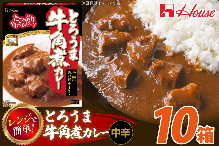カレー レトルト ハウス とろうま牛角煮カレー 中辛 10個 [翔栄通商 愛知県 江南市 ko23btu570039] レトルト食品 カレー 牛 角煮 スパイス ハウス食品 レンジ 湯煎 ストック 大容量 簡単 時短 常温保存 セット ランチ