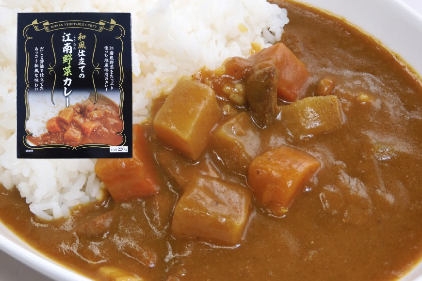 カレー レトルト 和風仕立ての「江南野菜カレー」 220g 10個 [江南商工会議所 愛知県 江南市 ko23btu330000] レトルト食品 簡単 時短 お手軽 便利 簡単調理