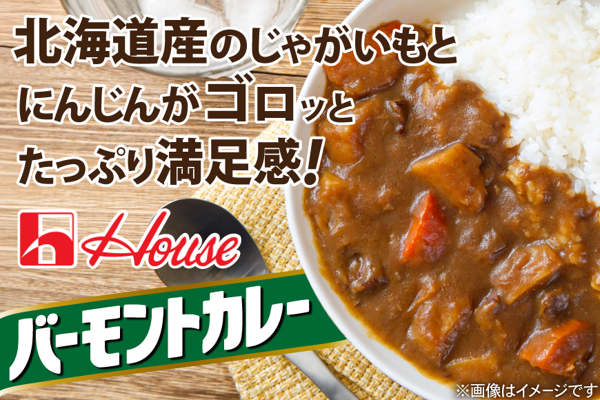 カレー レトルト バーモントカレー 中辛 200g 30個 [翔栄通商 愛知県 江南市 ko23btu570056] レトルト食品 レンジ対応商品 惣菜 お惣菜 惣菜カレー 簡単 時短 お手軽 便利 簡単調理 ストック 小分け