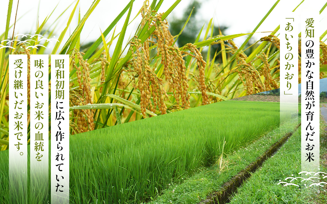 【望みのご利益を！合格祈願に】五角米2.8kg ／ お米 受験 合格祈願 米 北野天神社 五角形 愛知県 特産品 No.180