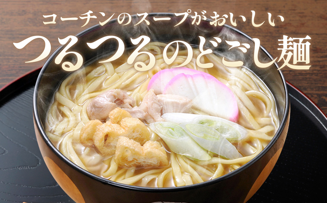 コーチン手折りカレーうどん（10食） ／ 名古屋コーチン のど越し コシ カレー スパイシー  なごや セット 贈り物 名古屋名物 簡単調理 乾麺 なごやめし 名古屋めし ご当地 送料無料 愛知県 No.024