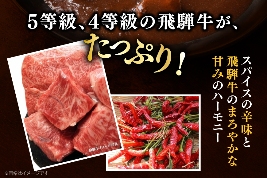 カレー レトルト 肉のくまざき特製 飛騨牛 ビーフカレー 3個 [熊崎畜産 愛知県 江南市 ko23btu560000] レトルト食品 レンジ対応 牛カレー 惣菜 非常食 ストック 簡単 時短 お手軽 便利 簡単調理