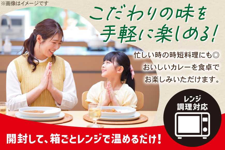 カレー レトルト バーモントカレー 中辛 200g 10個 [翔栄通商 愛知県 江南市 ko23btu570054] レトルト食品 レンジ対応商品 惣菜 お惣菜 惣菜カレー 簡単 時短 お手軽 便利 簡単調理 ストック 小分け