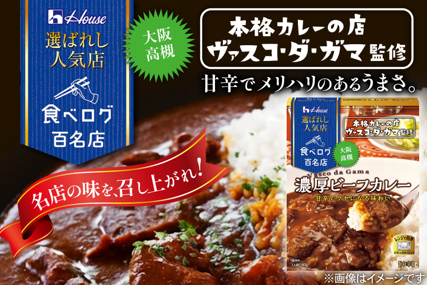 カレー レトルト ハウス 選ばれし人気店 濃厚ビーフカレー＆スパイス織りなすビーフカレー 各10個  計20個 [翔栄通商 愛知県 江南市 ko23btu570047] レトルト食品 カレー ビーフ スパイス ハウス食品 濃厚 芳醇 レンジ 湯煎 ストック 大容量 簡単 時短 常温保存 セット ランチ 2種類