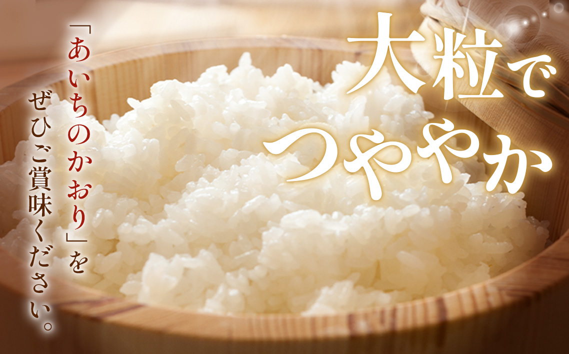 【令和7年産】 お米 あいちのかおり 5kg ／ お米 愛知県産 精米 白米 ごはん コメ 米 安心 安全 大粒 愛知県 No.021