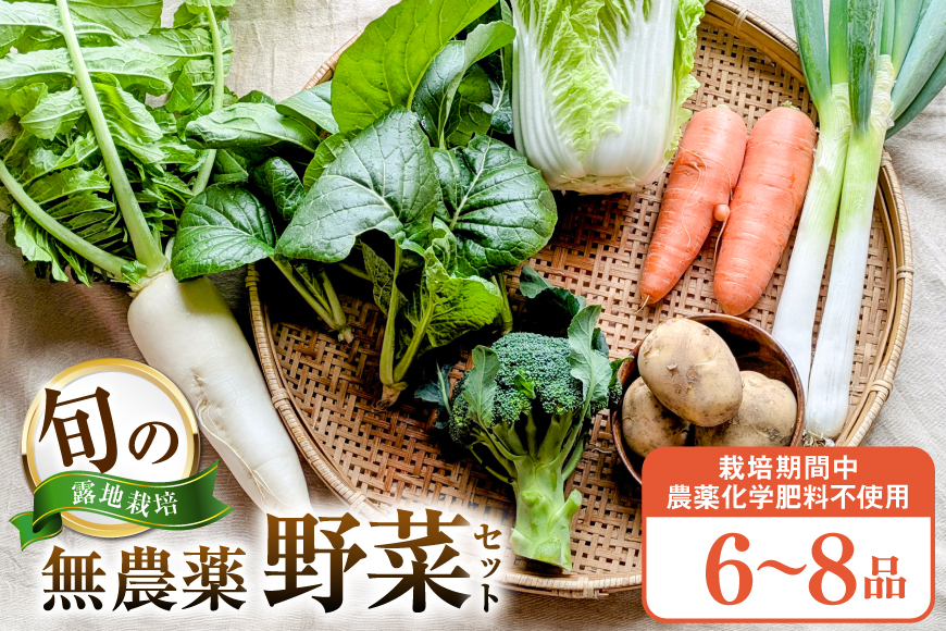 野菜 旬 ココニコ おまかせ 野菜セット 6〜8品 [ココニコヒロバ 愛知県 江南市 ko23btu710000] セット 詰め合わせ 季節野菜 国産 季節の野菜 野菜詰め合わせ 葉野菜 根菜