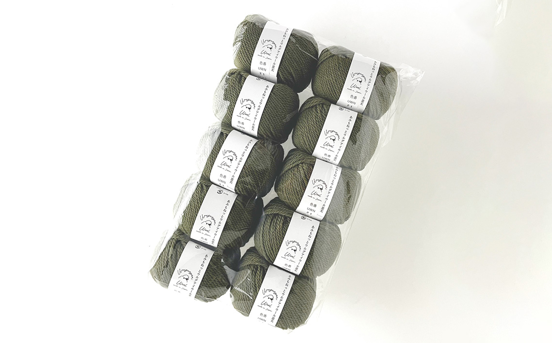 毛糸 ウルグアイウール並太 21番色 10玉セット ／ ウール100％ 並太毛糸 手編み 編み物 ハンドメイド 冬小物 マフラー 帽子 セーター ブランケット 編みやすい ふっくら 愛知県 No.361