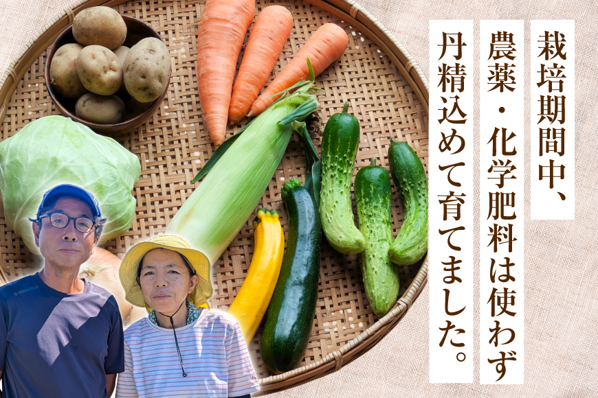 野菜 旬 ココニコ おまかせ 野菜セット 6〜8品 [ココニコヒロバ 愛知県 江南市 ko23btu710000] セット 詰め合わせ 季節野菜 国産 季節の野菜 野菜詰め合わせ 葉野菜 根菜