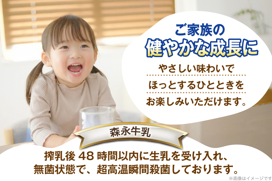 牛乳 森永牛乳 200ml 24本 計4800ml 森永乳業 [翔栄通商 愛知県 江南市 ko23btu570062] 紙パック 牛乳 ミルク 生乳100％ おやつ ジャストサイズ まとめ買い 買い置き  常温保存 まとめ買い 買い置き