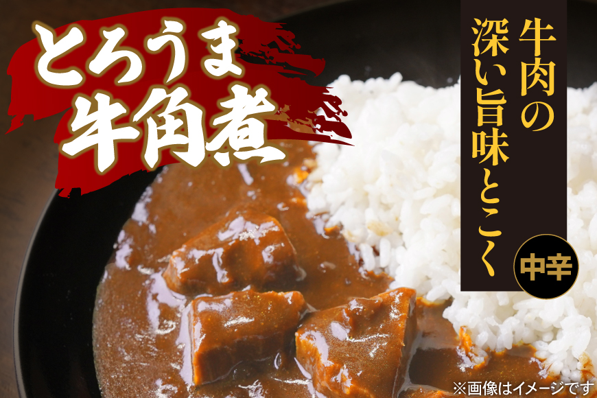 カレー レトルト ハウス とろうま牛角煮カレー 中辛 10個 [翔栄通商 愛知県 江南市 ko23btu570039] レトルト食品 カレー 牛 角煮 スパイス ハウス食品 レンジ 湯煎 ストック 大容量 簡単 時短 常温保存 セット ランチ