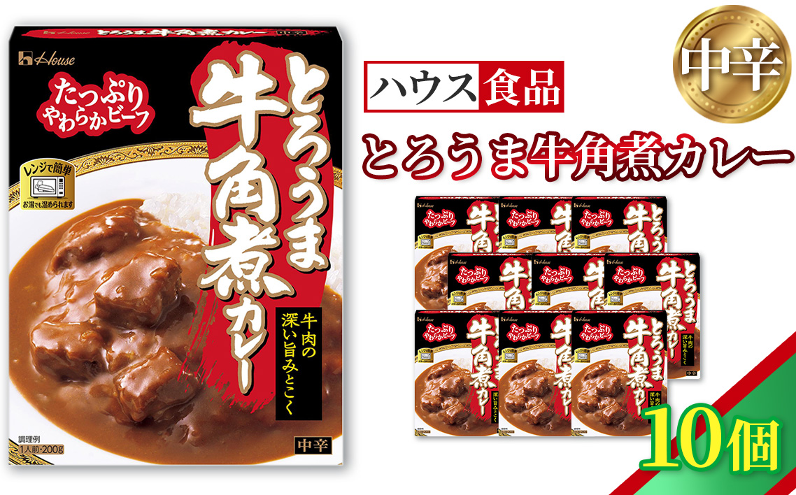 ハウス とろうま牛角煮カレー 中辛 10個 ／ レトルト カレー ハウス食品 レンジ 湯煎 湯せん 時短 簡単 簡単調理 防災食 長期保存 非常食 ローリングストック 災害 備蓄 常温保存 セット No.337-01