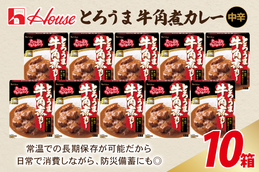カレー レトルト ハウス とろうま牛角煮カレー 中辛 10個 [翔栄通商 愛知県 江南市 ko23btu570039] レトルト食品 カレー 牛 角煮 スパイス ハウス食品 レンジ 湯煎 ストック 大容量 簡単 時短 常温保存 セット ランチ