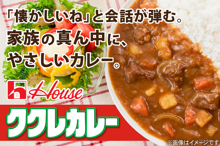 カレー レトルト ハウス ククレカレー中辛＆カレーマルシェ中辛 各10個 [翔栄通商 愛知県 江南市 ko23btu570070] レトルト食品 レトルトカレー レンジ対応商品 簡単 時短 お手軽 便利 簡単調理 ストック 小分け 食べ比べ