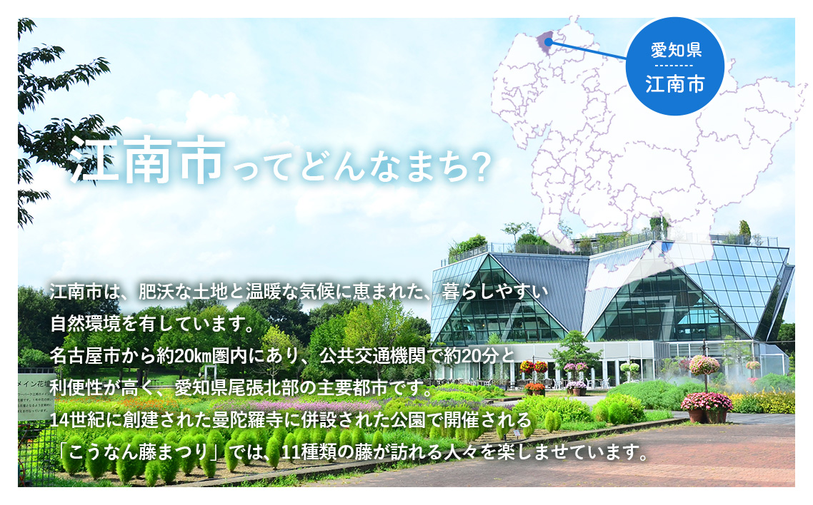 ハウス 選ばれし人気店 老舗のビーフシチュー 10個 ／ レトルト シチュー ハウス食品 レンジ 湯煎 湯せん 時短 簡単 簡単調理 防災食 長期保存 非常食 ローリングストック 災害 備蓄 常温保存 セット No.338-01