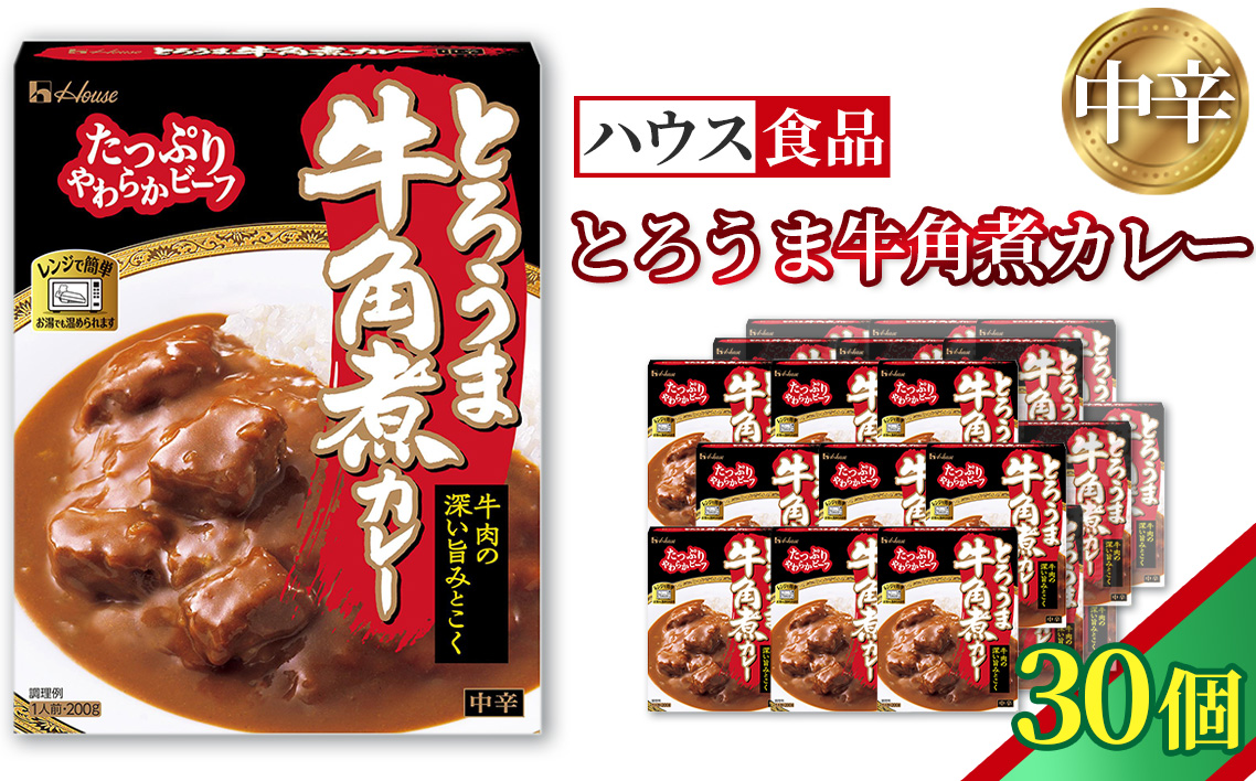 ハウス とろうま牛角煮カレー 中辛 30個 ／ レトルト カレー ハウス食品 レンジ 湯煎 湯せん 時短 簡単 簡単調理 防災食 長期保存 非常食 ローリングストック 災害 備蓄 常温保存 セット No.337-03