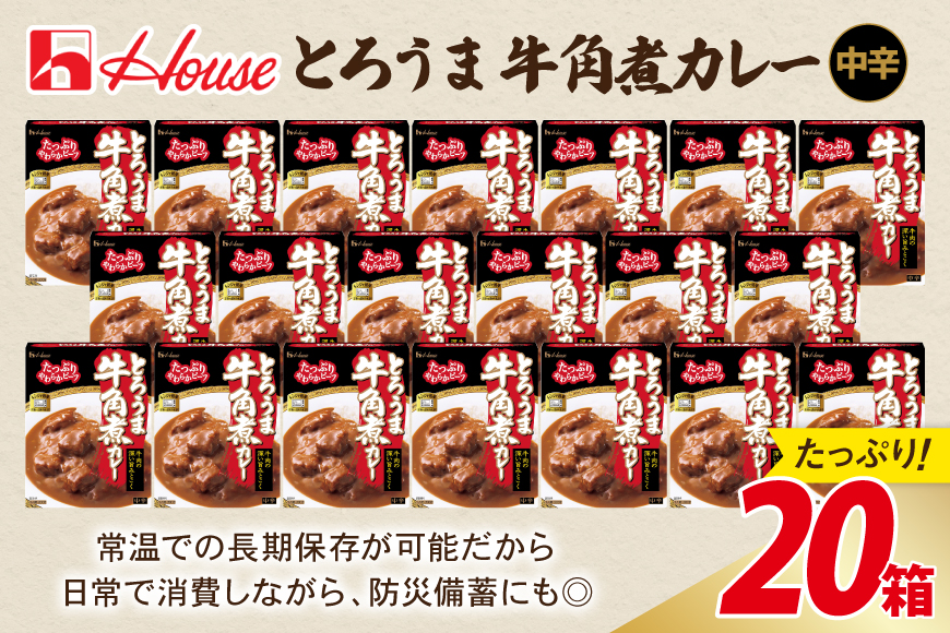カレー レトルト ハウス とろうま牛角煮カレー 中辛 20個 [翔栄通商 愛知県 江南市 ko23btu570040] レトルト食品 カレー 牛 角煮 スパイス ハウス食品 レンジ 湯煎 ストック 大容量 簡単 時短 常温保存 セット ランチ