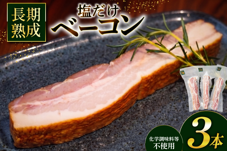 燻製 ベーコン【化学調味料等無添加】岩塩だけで仕上げた燻製ブロックベーコン 600g [グリュン江南 愛知県 江南市 ko23btu160000] 肉 ベーコン 豚肉 厚切り ブロック ジューシー 無添加 岩塩 肉加工品 加工品  真空パック BBQ バーベキュー お弁当 おかず 簡単 冷凍