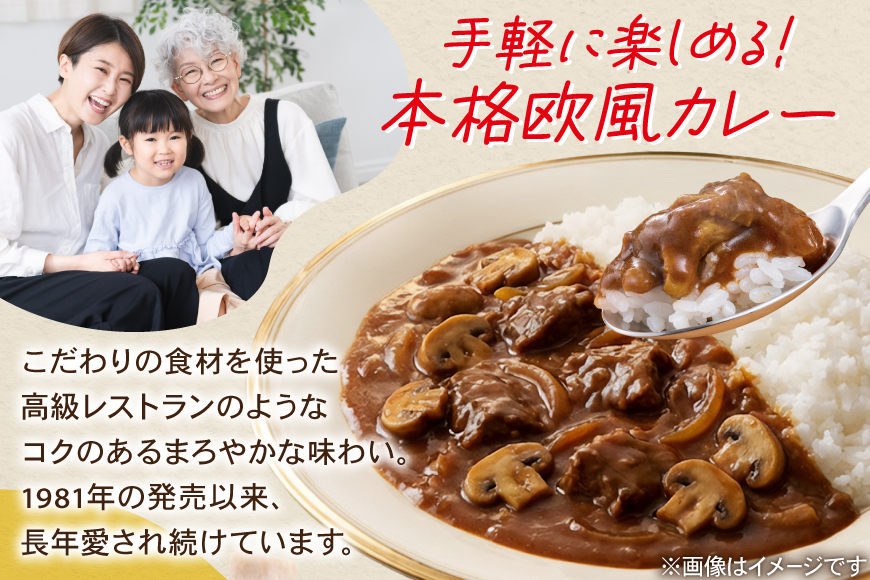 カレー レトルト ハウス カレーマルシェ 甘口＆中辛 各10個 [翔栄通商 愛知県 江南市 ko23btu570106] レトルト食品 レンジ対応商品 レトルトカレー 簡単 時短 お手軽 便利 簡単調理 ストック 小分け