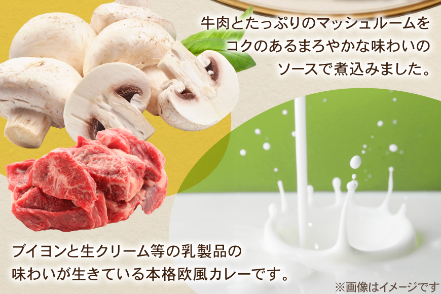 カレー レトルト ハウス カレーマルシェ 甘口＆中辛 各10個 [翔栄通商 愛知県 江南市 ko23btu570106] レトルト食品 レンジ対応商品 レトルトカレー 簡単 時短 お手軽 便利 簡単調理 ストック 小分け