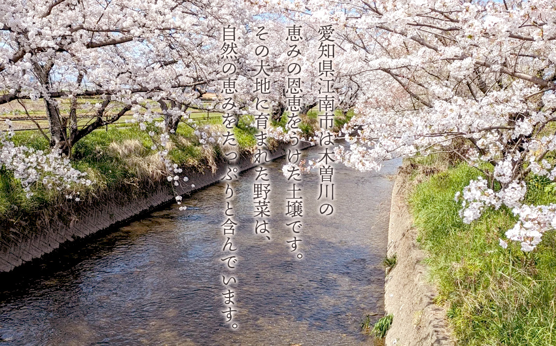 æ œå¹æéäžèŸ²è¬ååŠè¥æäžäœ¿çšãæ¬ã®ã³ã³ãã³ç¡èŸ²è¬éèã»ãã 7ã8å ïŒ éè ããã æ°é®® æ¬ æ¡ãã㊠ãããã ç£å°çŽé ç£çŽ é²å°æ œå¹ ãã ãã å®çªéè äŒçµ±éè ãããããéè ãã¬ãã·ã¥ æç¥ç No.272