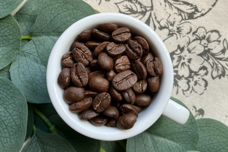 コーヒー 豆 200g 3種類 水出し コーヒー バッグ 6個 詰め合わせ セット (A) [珈琲専門店 タスコ珈琲店 愛知県 江南市 ko23btu420002] 珈琲 コーヒー豆 水出しコーヒー パック 焙煎 直火焙煎 水出し珈琲 水だしコーヒー アイスコーヒー こーひー ふるさと納税