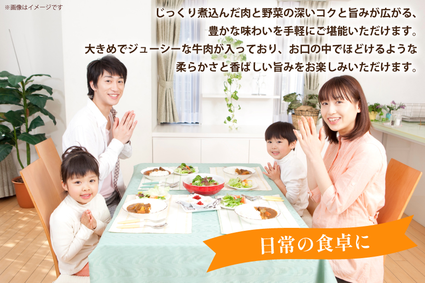 ハウス 選ばれし人気店 老舗のビーフシチュー 2食セット [サワセイ 江南店 愛知県 江南市 ko23btu100059] レトルト レトルト食品 牛 ビーフ シチュー ハウス食品 レンジ 湯煎 ストック 簡単 時短 常温保存 セット ランチ 防災 ローリングストック