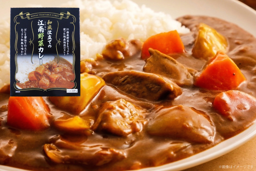 カレー レトルト 和風仕立ての「江南野菜カレー」 220g 10個 [江南商工会議所 愛知県 江南市 ko23btu330000] レトルト食品 簡単 時短 お手軽 便利 簡単調理