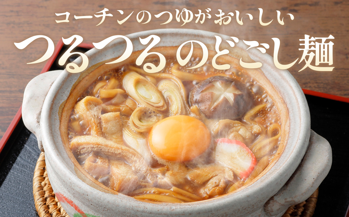 コーチン手折りみそ煮込うどん（10食） ／ 名古屋コーチン きしめん 味噌煮込みうどん あじみそ のど越し コシ 味噌 みそ  なごや セット 贈り物 名古屋名物 簡単調理 乾麺 なごやめし 名古屋めし ご当地 送料無料 愛知県 No.023