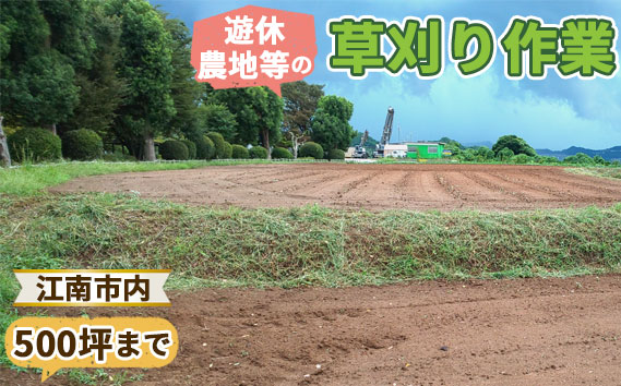 遊休農地等の草刈り作業（500坪、1650平方メートルまで） ／ 除草作業 草刈り作業 代行 耕作放棄地 遊休農地 草刈り 地域密着 清掃 お手伝い 草むしり  送料無料 愛知県 No.130