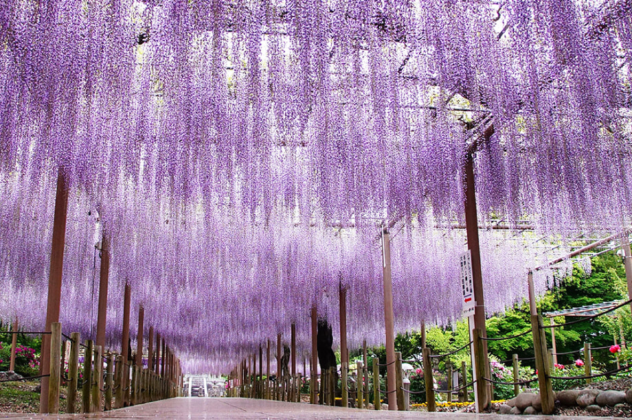 まちづくり分野