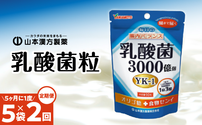＜5ヶ月に1度、2回送付＞乳酸菌粒　山本漢方　定期便