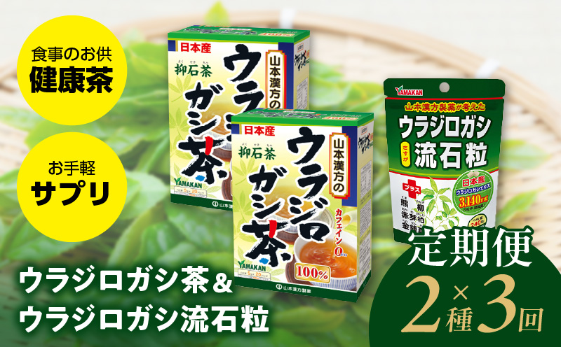 ＜3ヶ月連続＞ウラジロガシ茶＆ウラジロガシ 流石粒　山本漢方　定期便