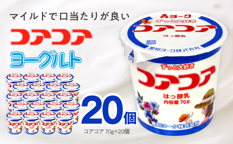 愛知ヨーク　コアコアヨーグルト　20個入　ヨーグルト デザート 健康 給食 保育園 幼稚園 小学校 中学校 支援学校 病院 高齢者施設 