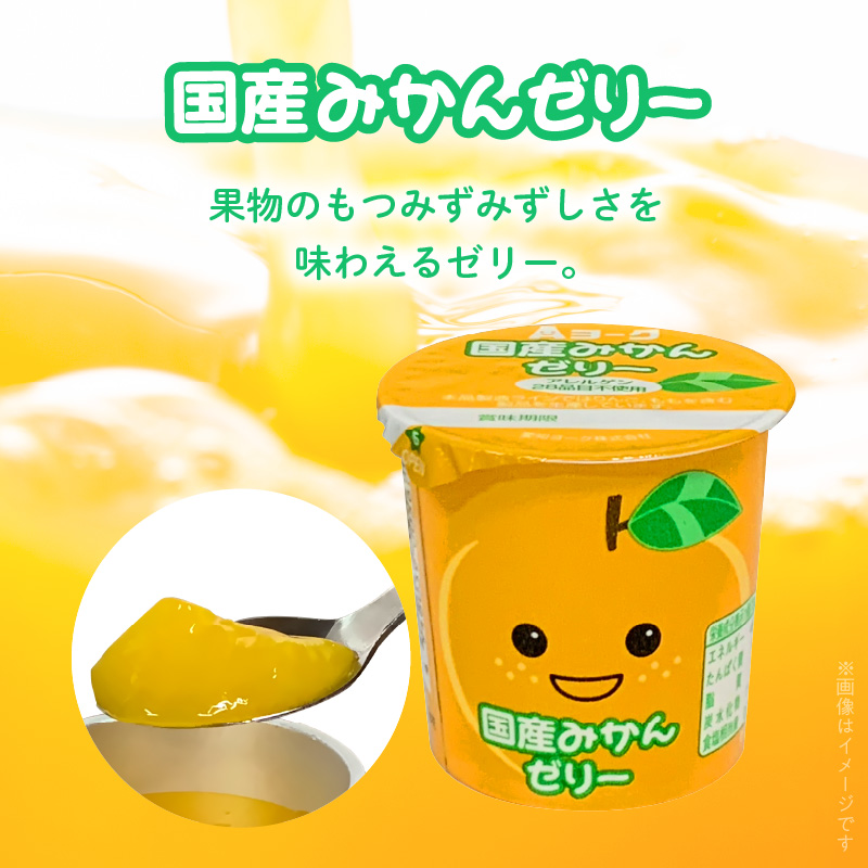 愛知ヨーク　国産みかんゼリー　20個入　ゼリー デザート 国産果汁 アレルギー不使用 健康 給食 保育園 幼稚園 小学校 中学校 支援学校 病院 高齢者施設