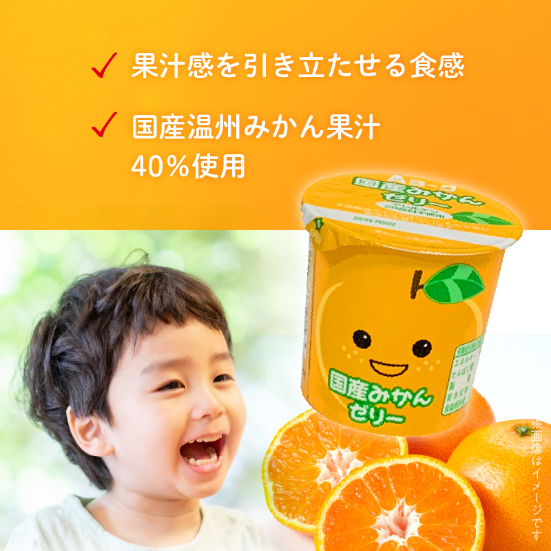 愛知ヨーク　国産みかんゼリー　20個入　ゼリー デザート 国産果汁 アレルギー不使用 健康 給食 保育園 幼稚園 小学校 中学校 支援学校 病院 高齢者施設