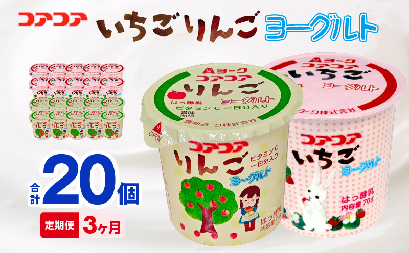 【3ヶ月定期便】愛知ヨーク　コアコアいちご・コアコアりんご　20個入