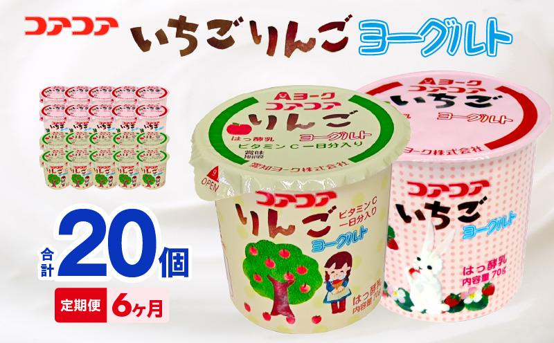 【6ヶ月定期便】愛知ヨーク　コアコアいちご・コアコアりんご　20個入